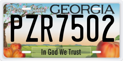 GA license plate PZR7502