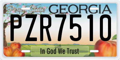 GA license plate PZR7510