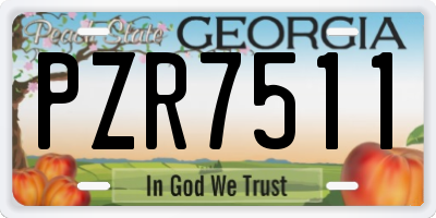 GA license plate PZR7511