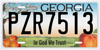 GA license plate PZR7513