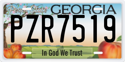 GA license plate PZR7519