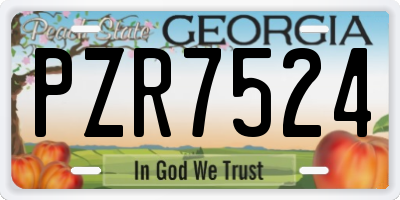 GA license plate PZR7524
