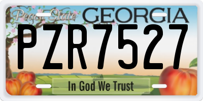 GA license plate PZR7527