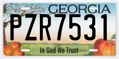 GA license plate PZR7531