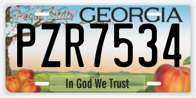 GA license plate PZR7534
