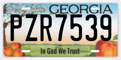 GA license plate PZR7539