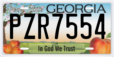 GA license plate PZR7554