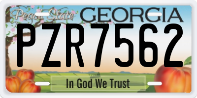 GA license plate PZR7562