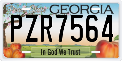 GA license plate PZR7564