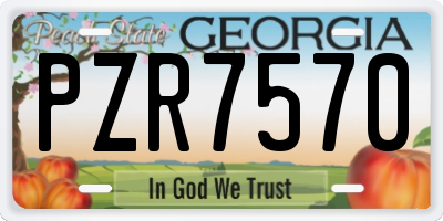 GA license plate PZR7570