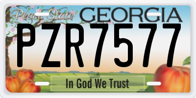 GA license plate PZR7577