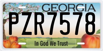 GA license plate PZR7578