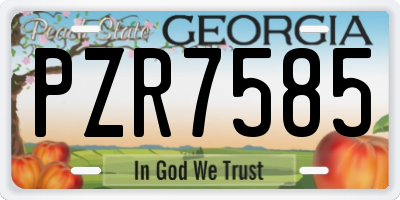 GA license plate PZR7585