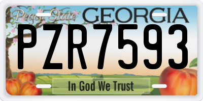 GA license plate PZR7593