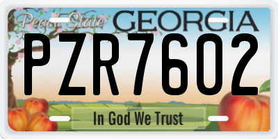 GA license plate PZR7602