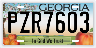 GA license plate PZR7603