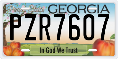 GA license plate PZR7607