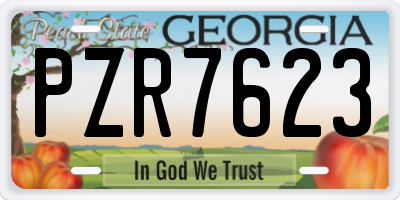 GA license plate PZR7623