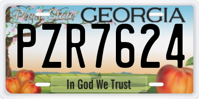 GA license plate PZR7624