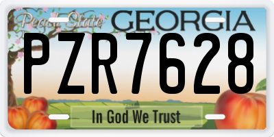 GA license plate PZR7628