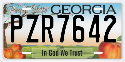 GA license plate PZR7642