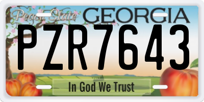 GA license plate PZR7643