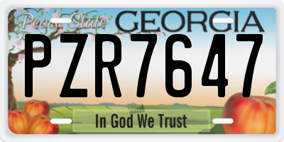 GA license plate PZR7647