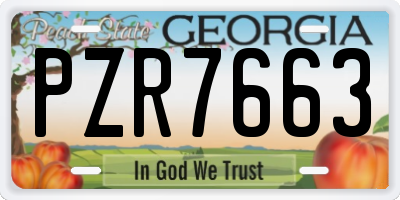 GA license plate PZR7663