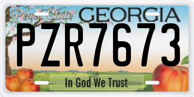 GA license plate PZR7673