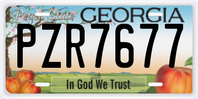 GA license plate PZR7677