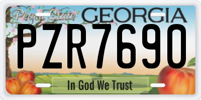 GA license plate PZR7690