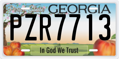 GA license plate PZR7713