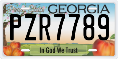 GA license plate PZR7789