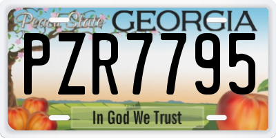 GA license plate PZR7795