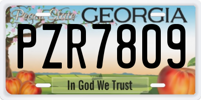 GA license plate PZR7809