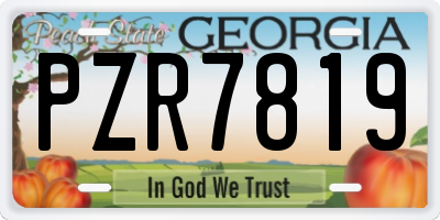 GA license plate PZR7819