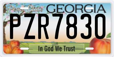 GA license plate PZR7830
