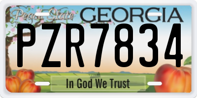 GA license plate PZR7834