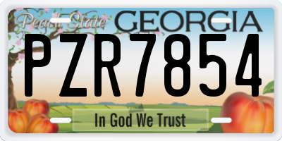GA license plate PZR7854