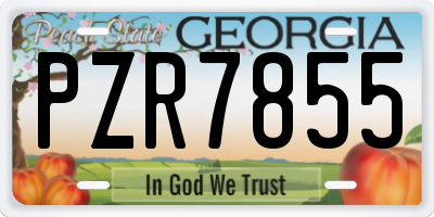 GA license plate PZR7855