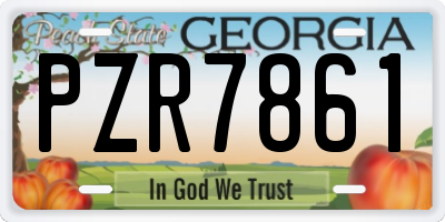 GA license plate PZR7861