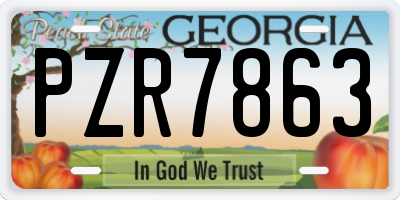 GA license plate PZR7863