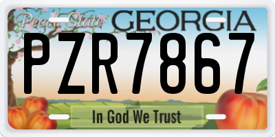 GA license plate PZR7867
