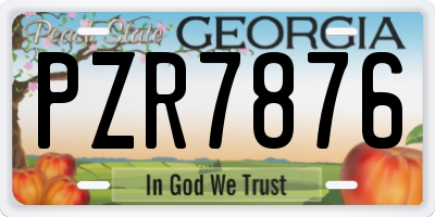 GA license plate PZR7876