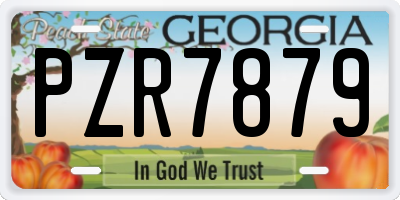 GA license plate PZR7879