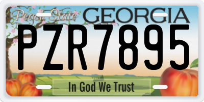 GA license plate PZR7895
