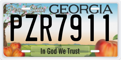 GA license plate PZR7911