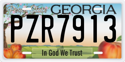 GA license plate PZR7913