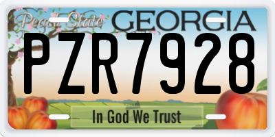 GA license plate PZR7928