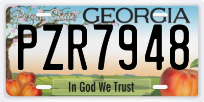 GA license plate PZR7948